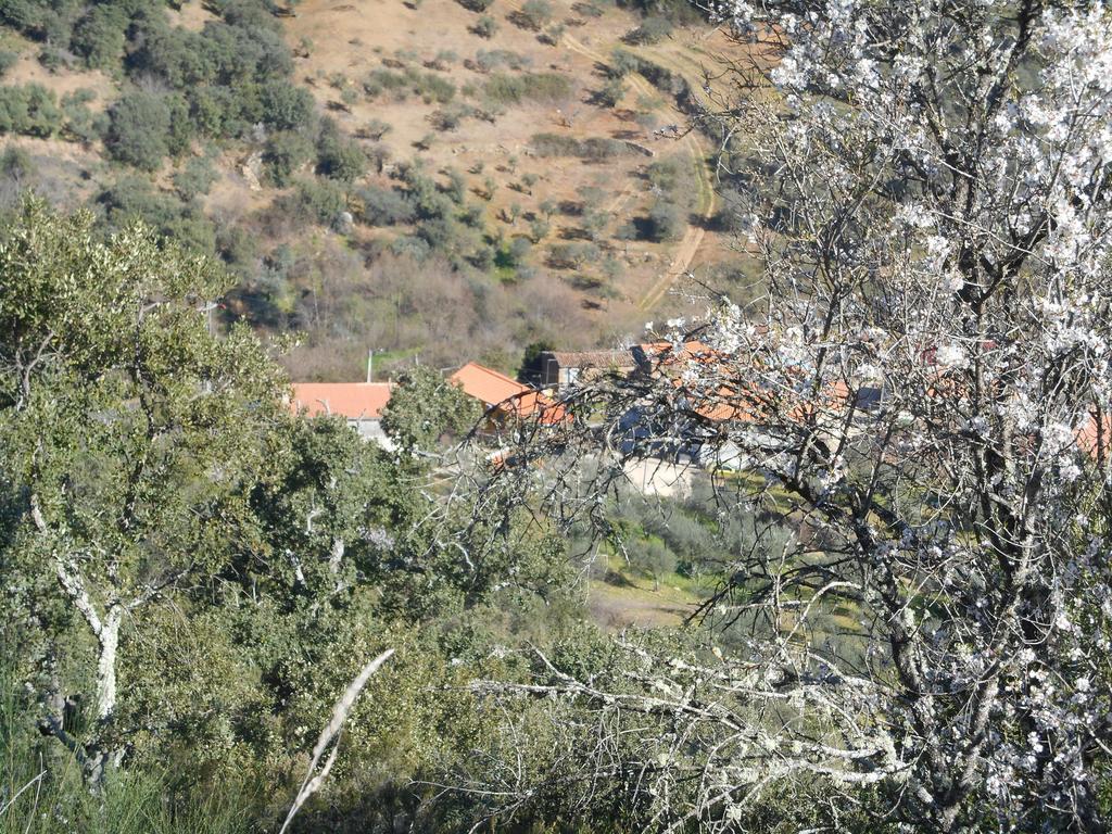 Casa Do Souto Villa Quinta do Souto Exterior photo